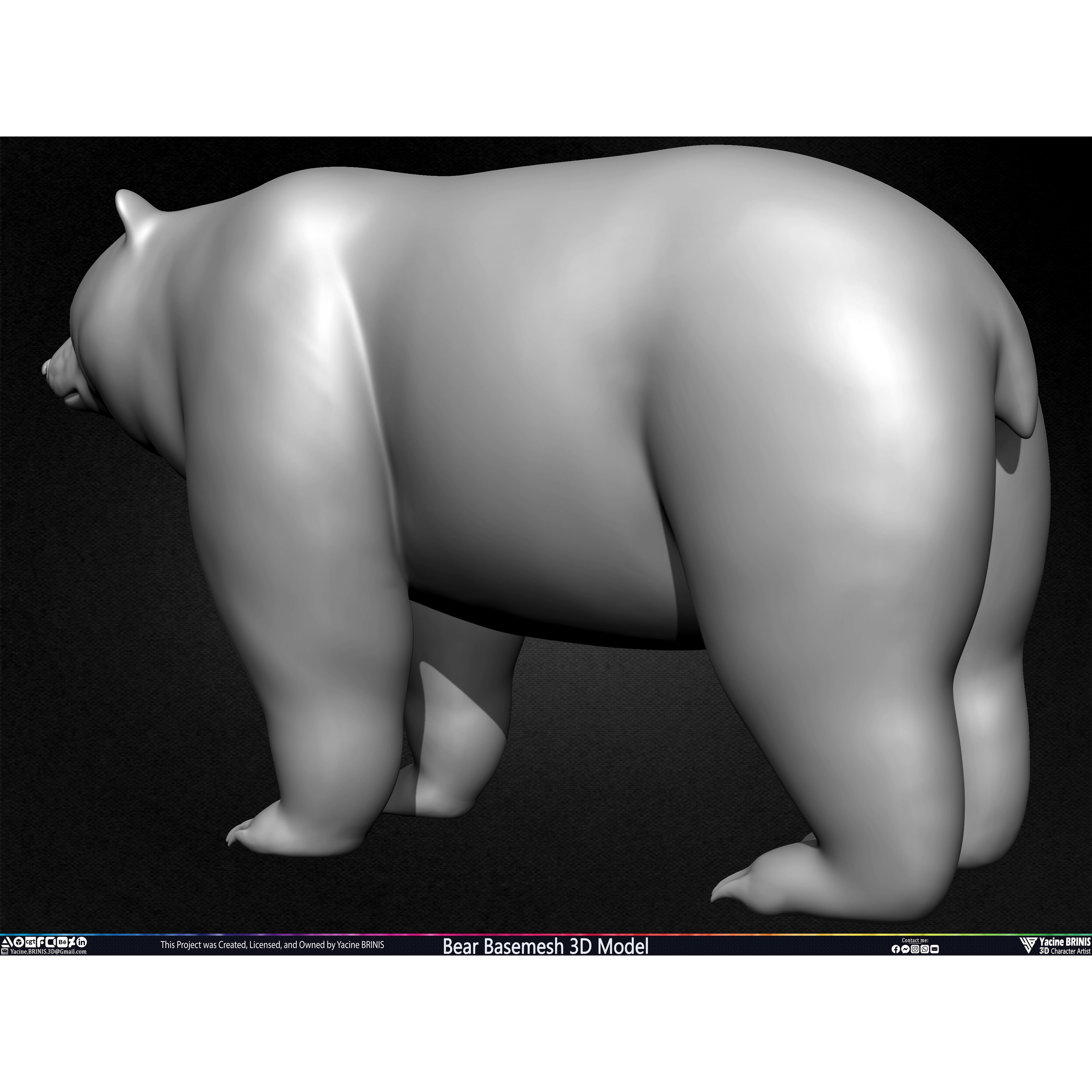 Bear Basemesh - Low-Poly Game-Ready 3D Model - View 23