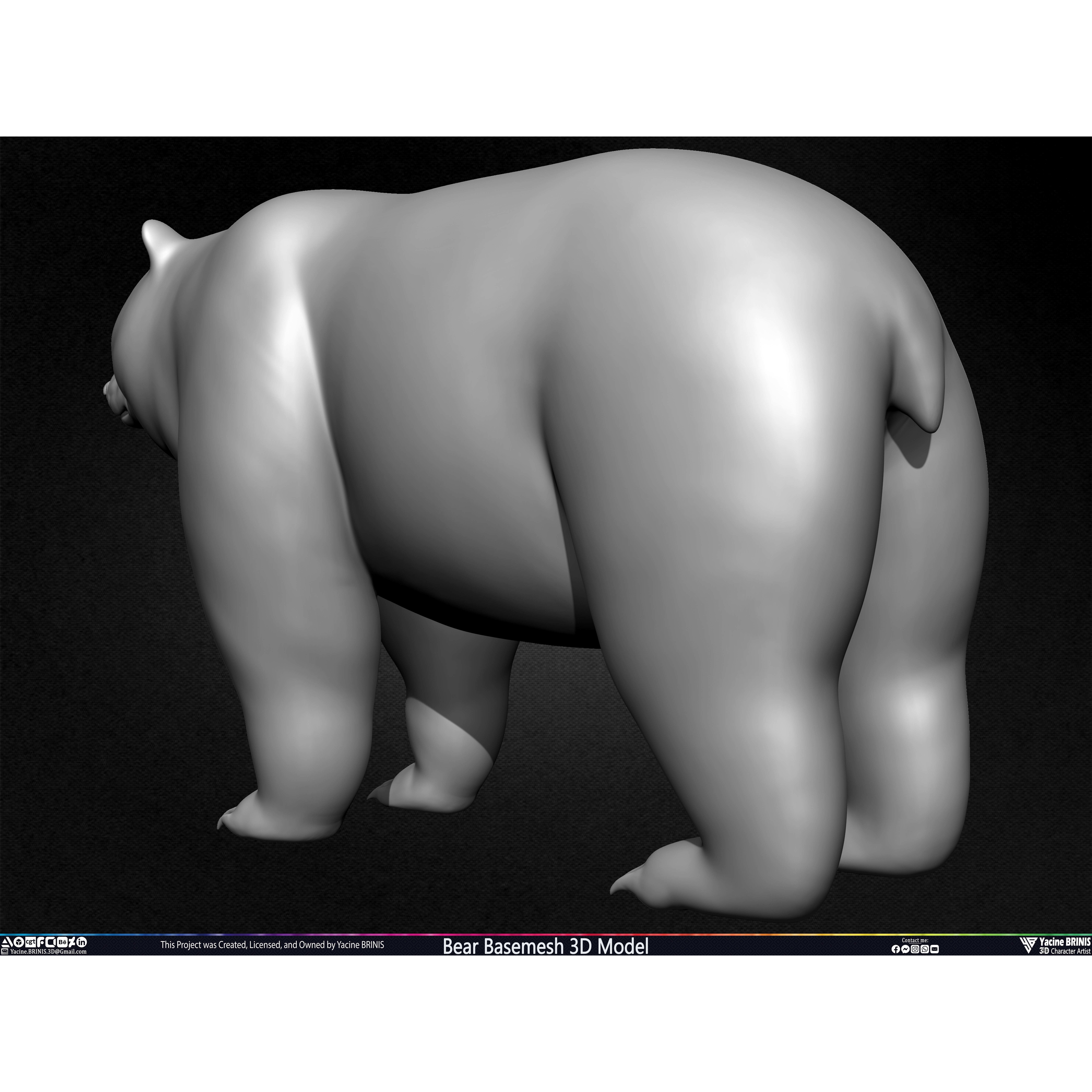 Bear Basemesh - Low-Poly Game-Ready 3D Model - View 24