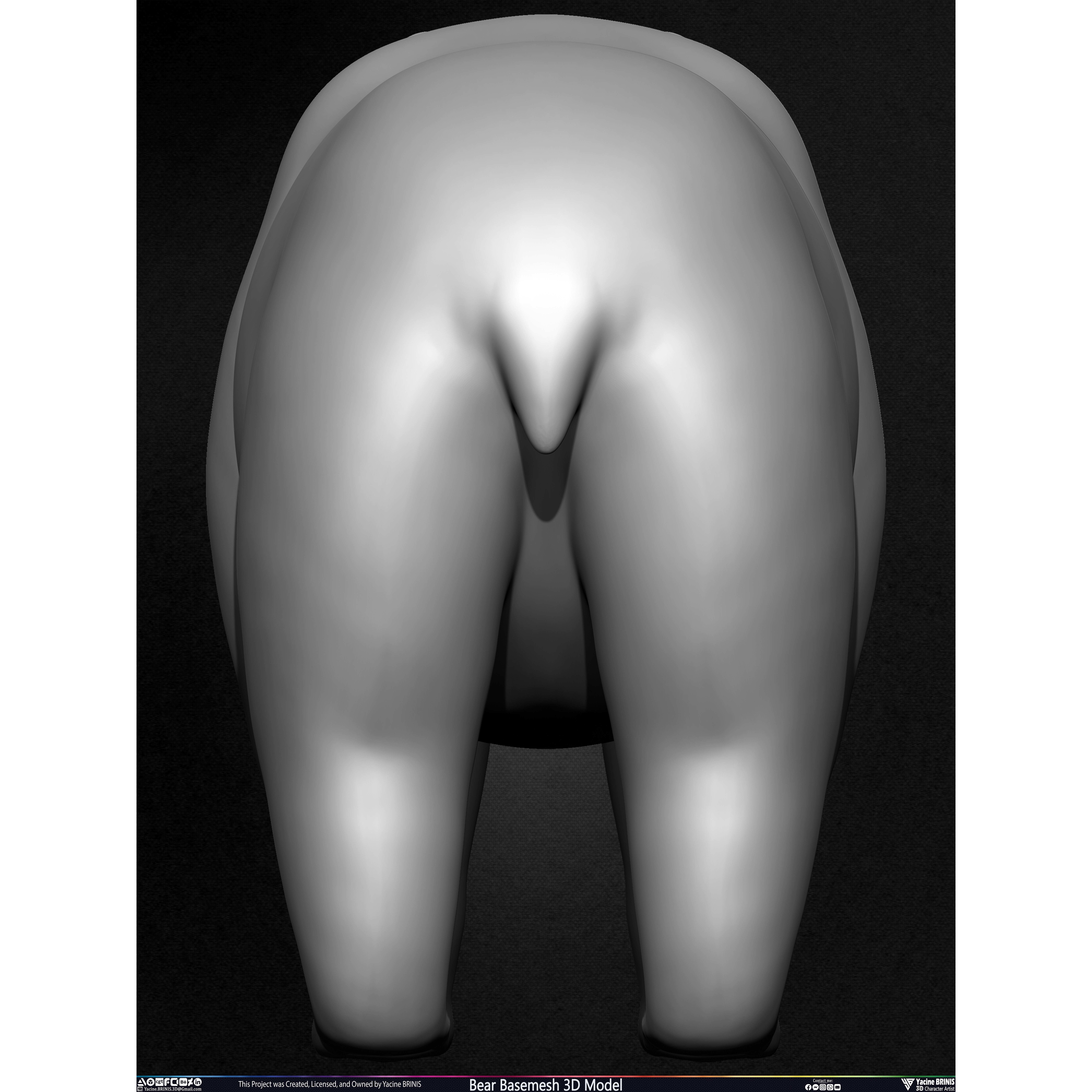 Bear Basemesh - Low-Poly Game-Ready 3D Model - View 28