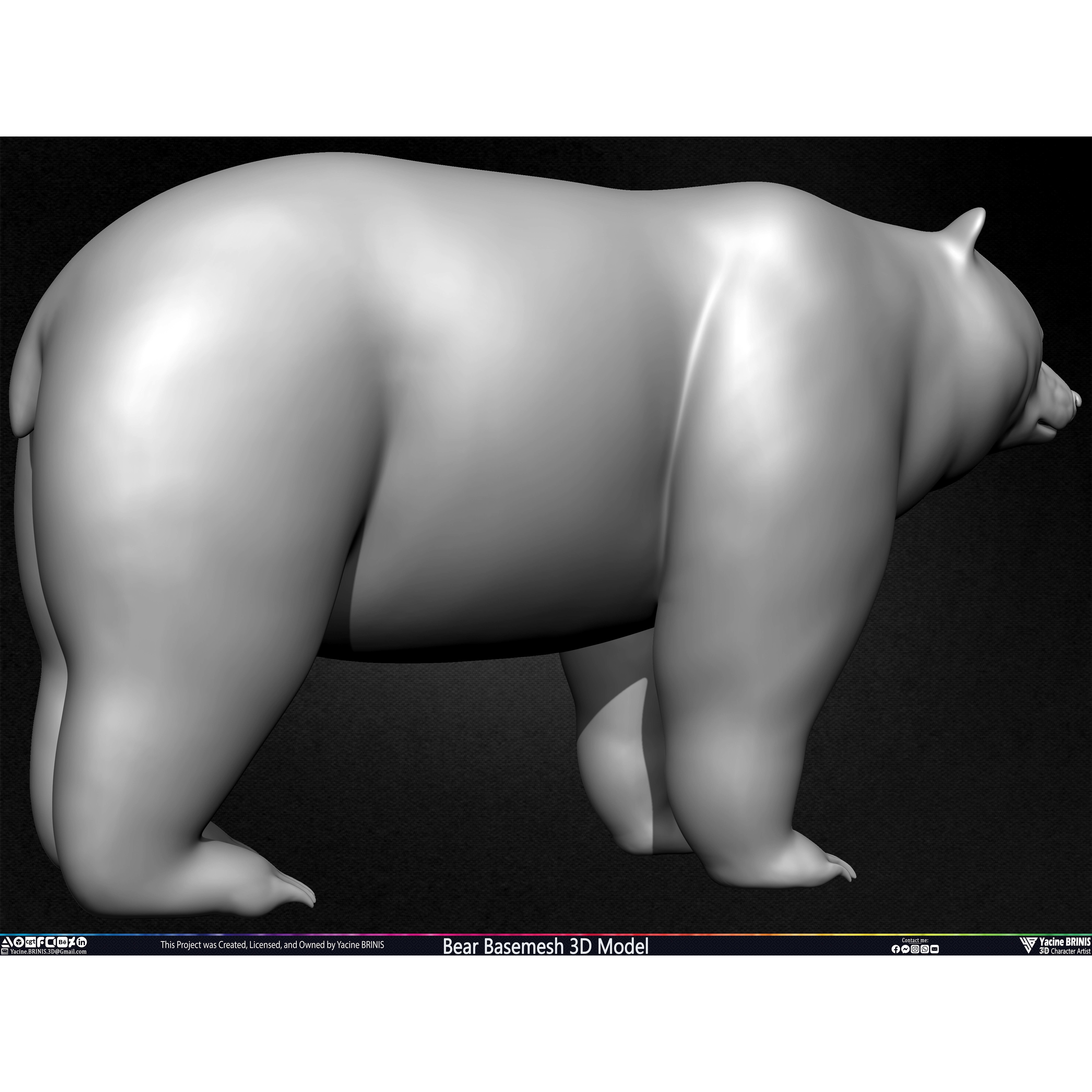Bear Basemesh - Low-Poly Game-Ready 3D Model - View 33