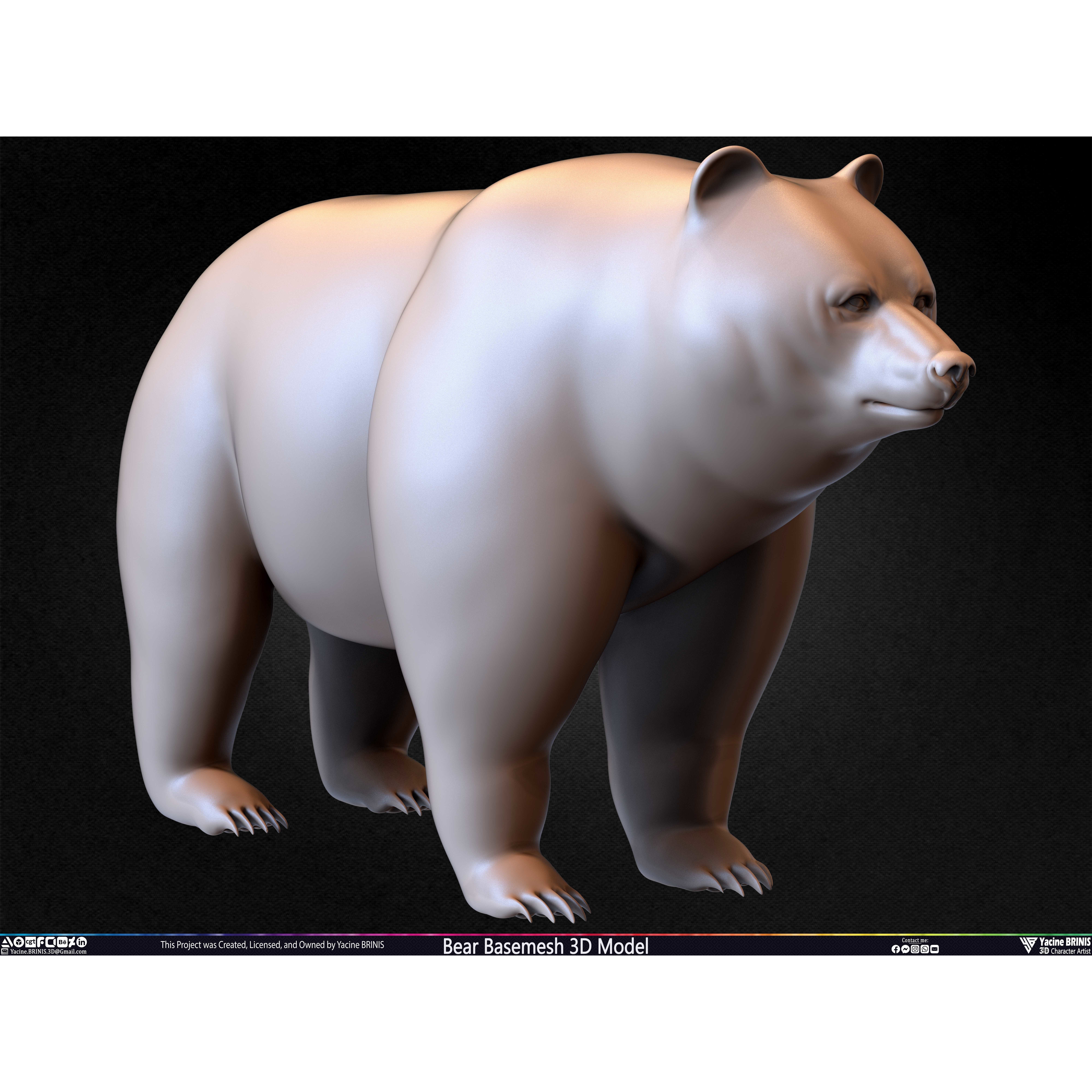 Bear Basemesh - Low-Poly Game-Ready 3D Model - View 35