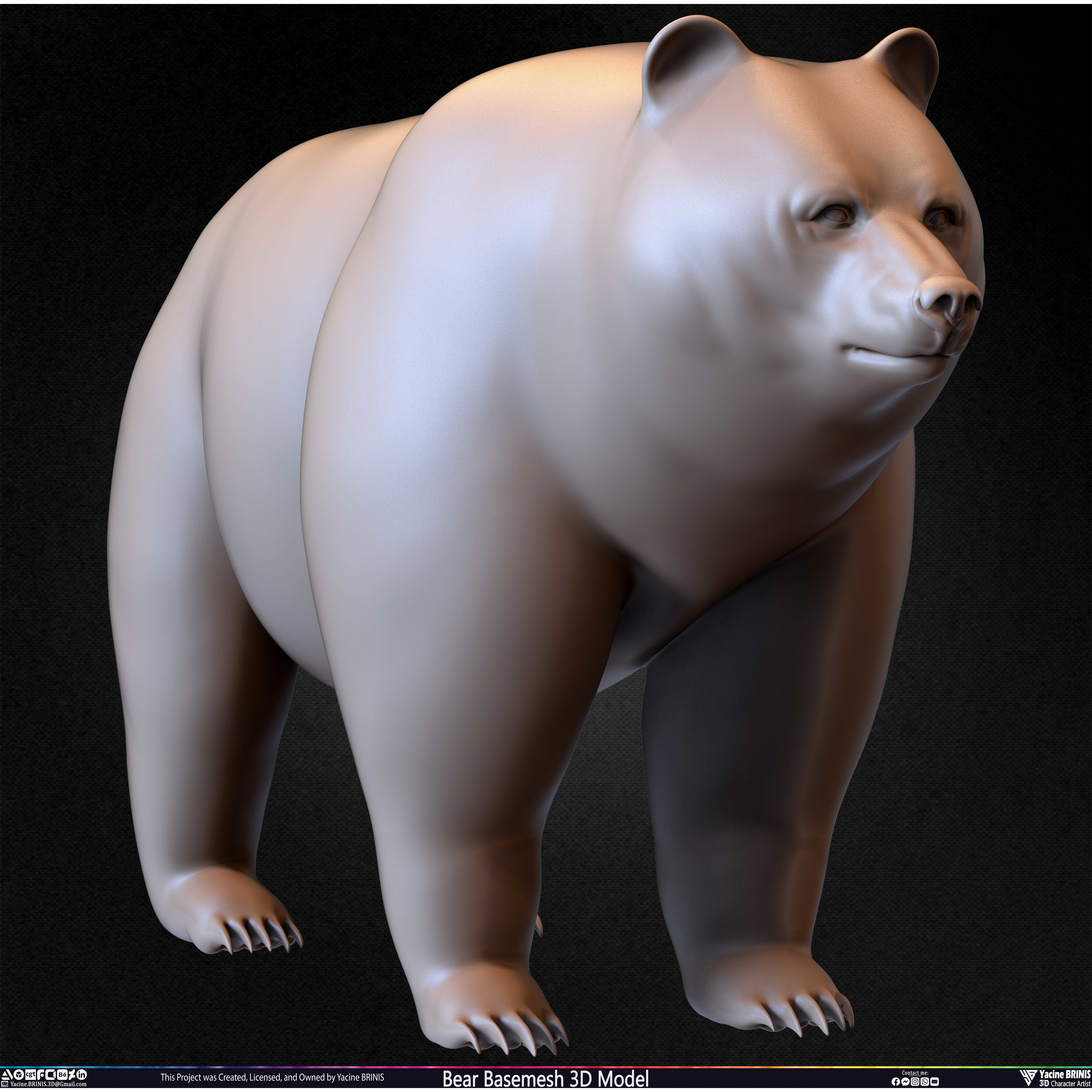 Bear Basemesh - Low-Poly Game-Ready 3D Model - View 36