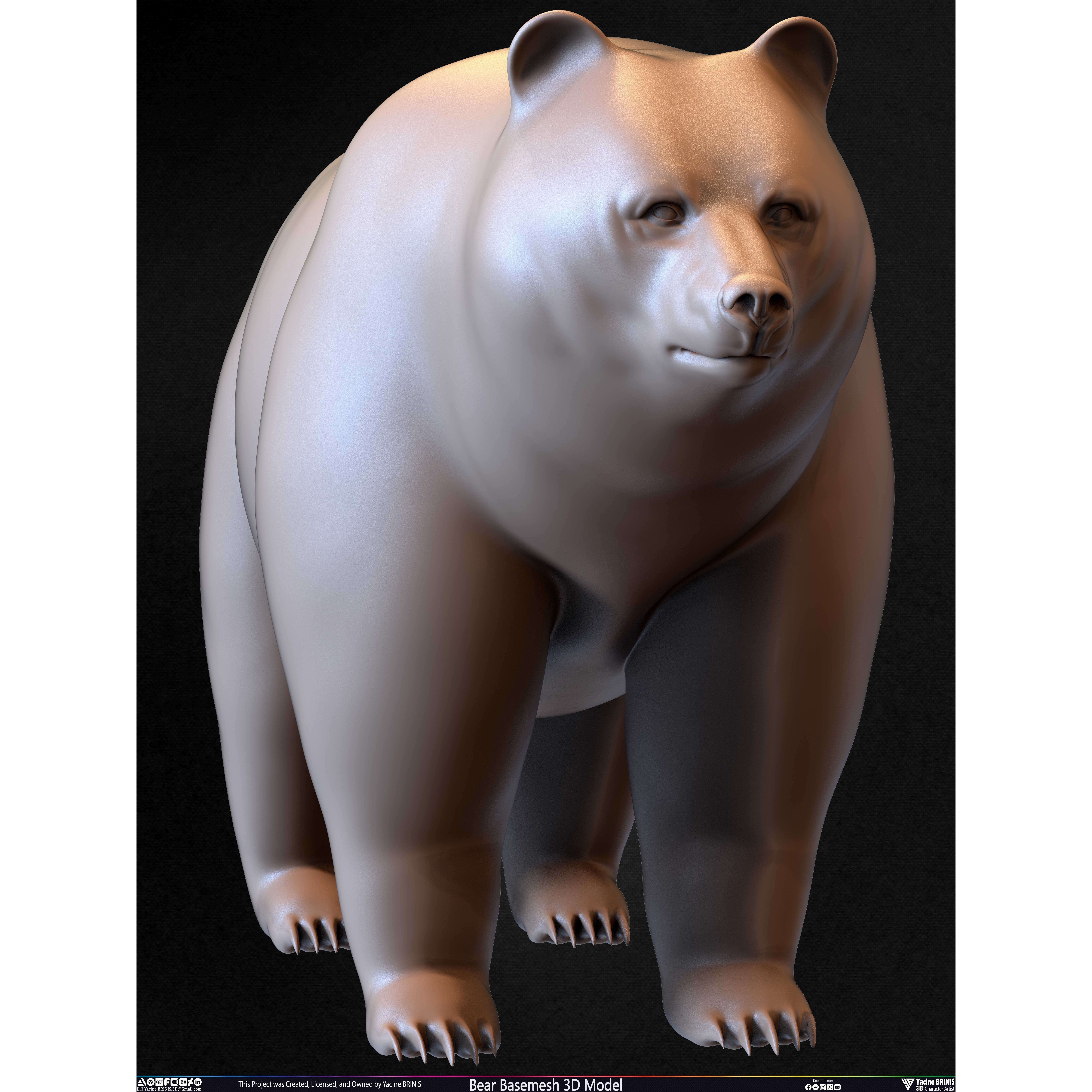Bear Basemesh - Low-Poly Game-Ready 3D Model - View 37