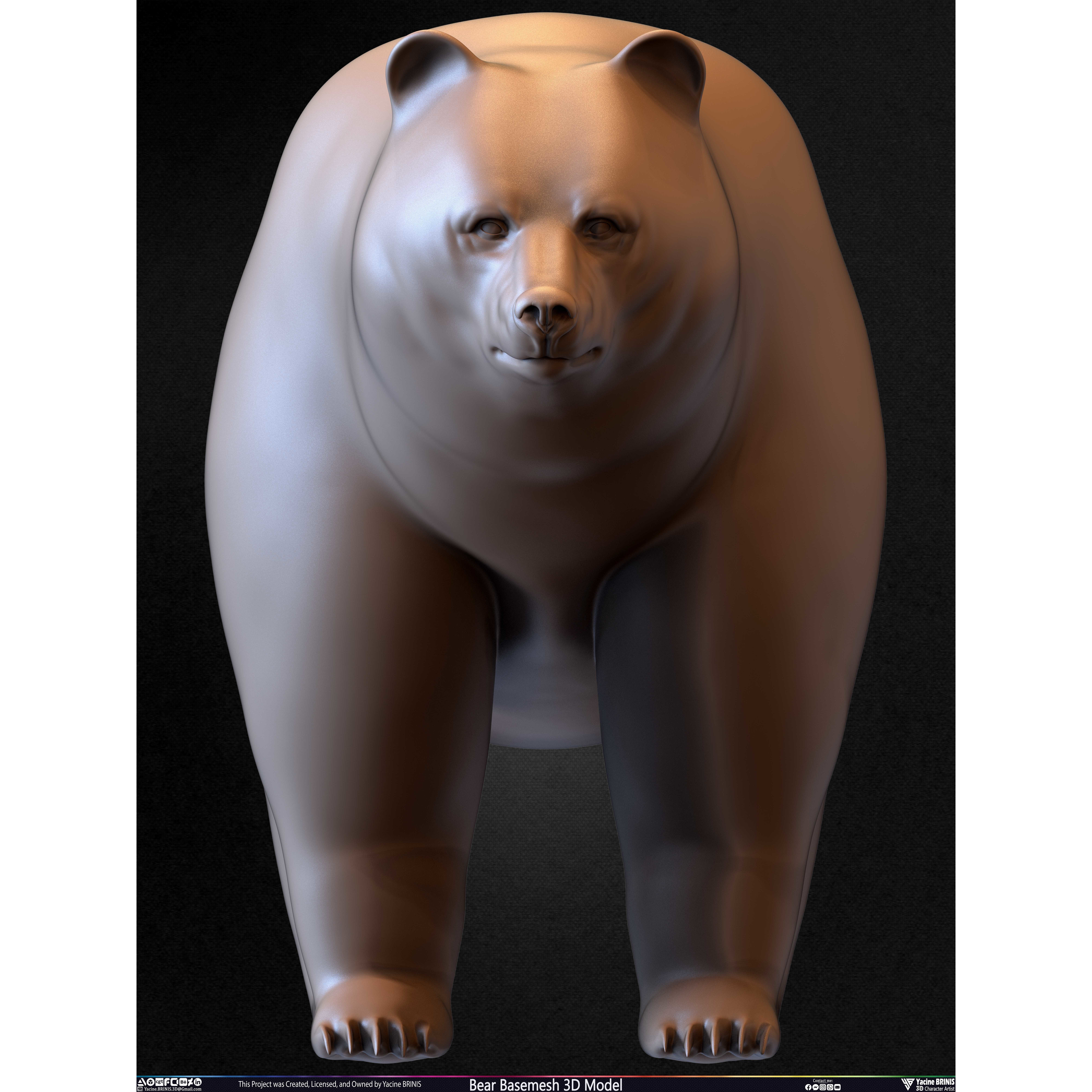 Bear Basemesh - Low-Poly Game-Ready 3D Model - View 38