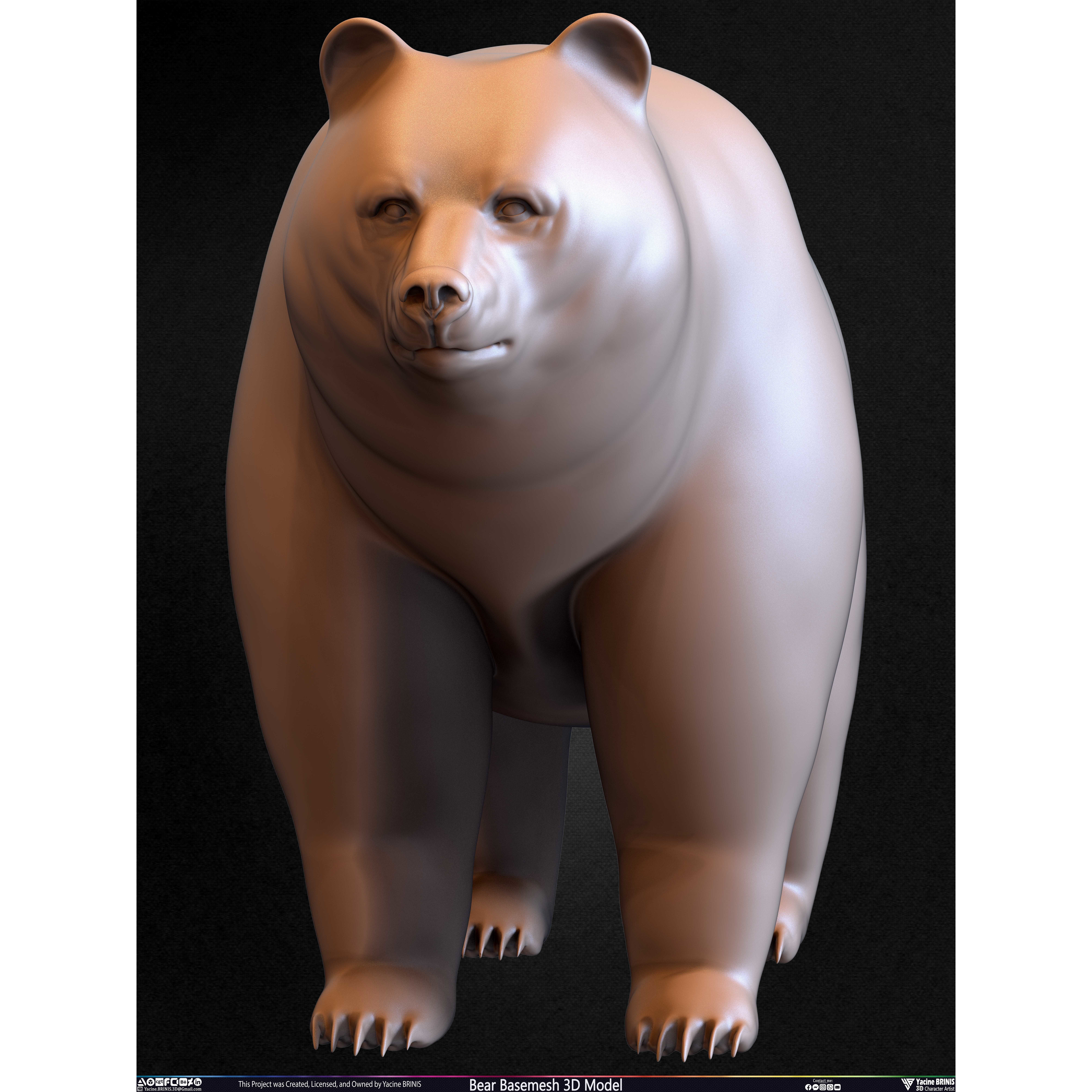 Bear Basemesh - Low-Poly Game-Ready 3D Model - View 39