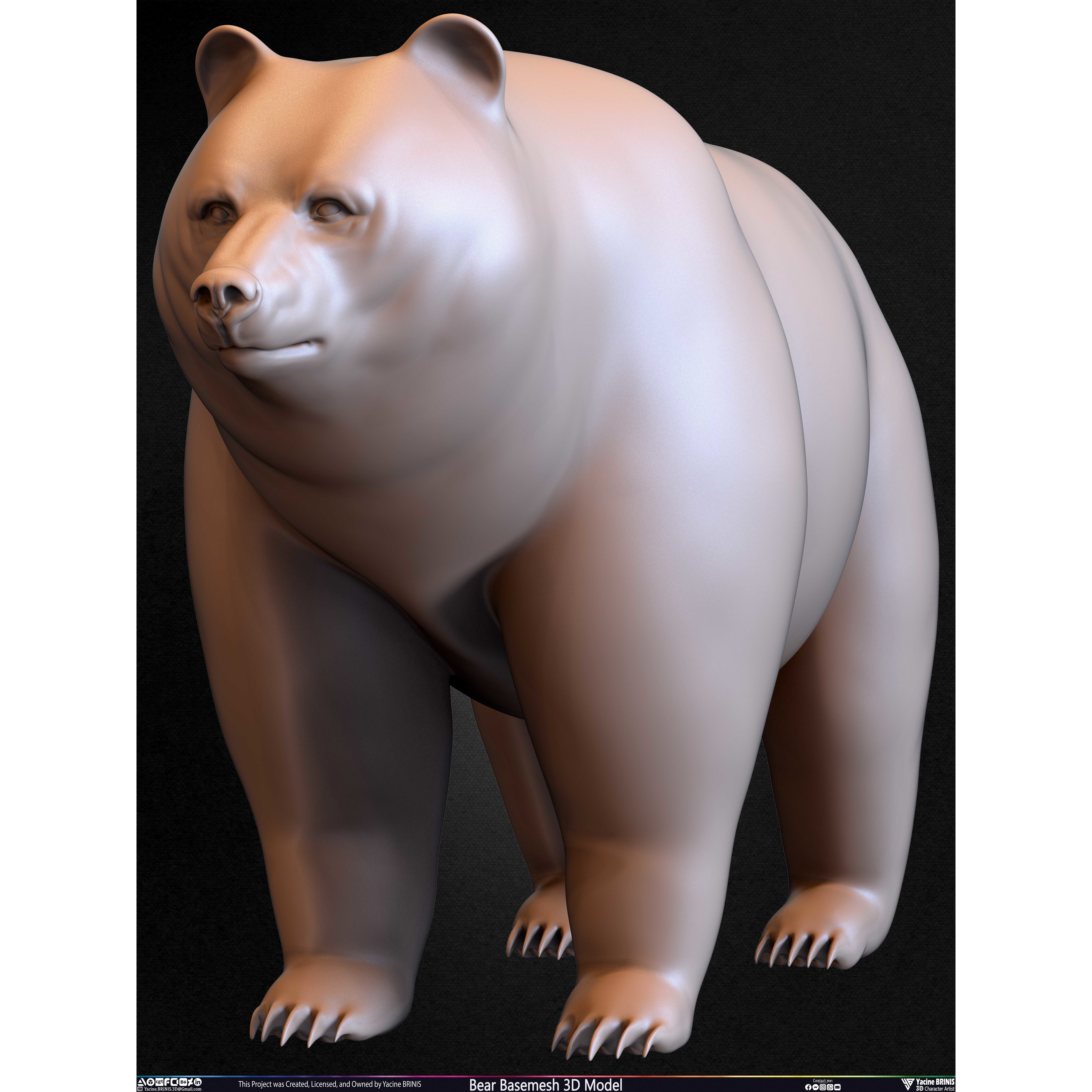 Bear Basemesh - Low-Poly Game-Ready 3D Model - View 40