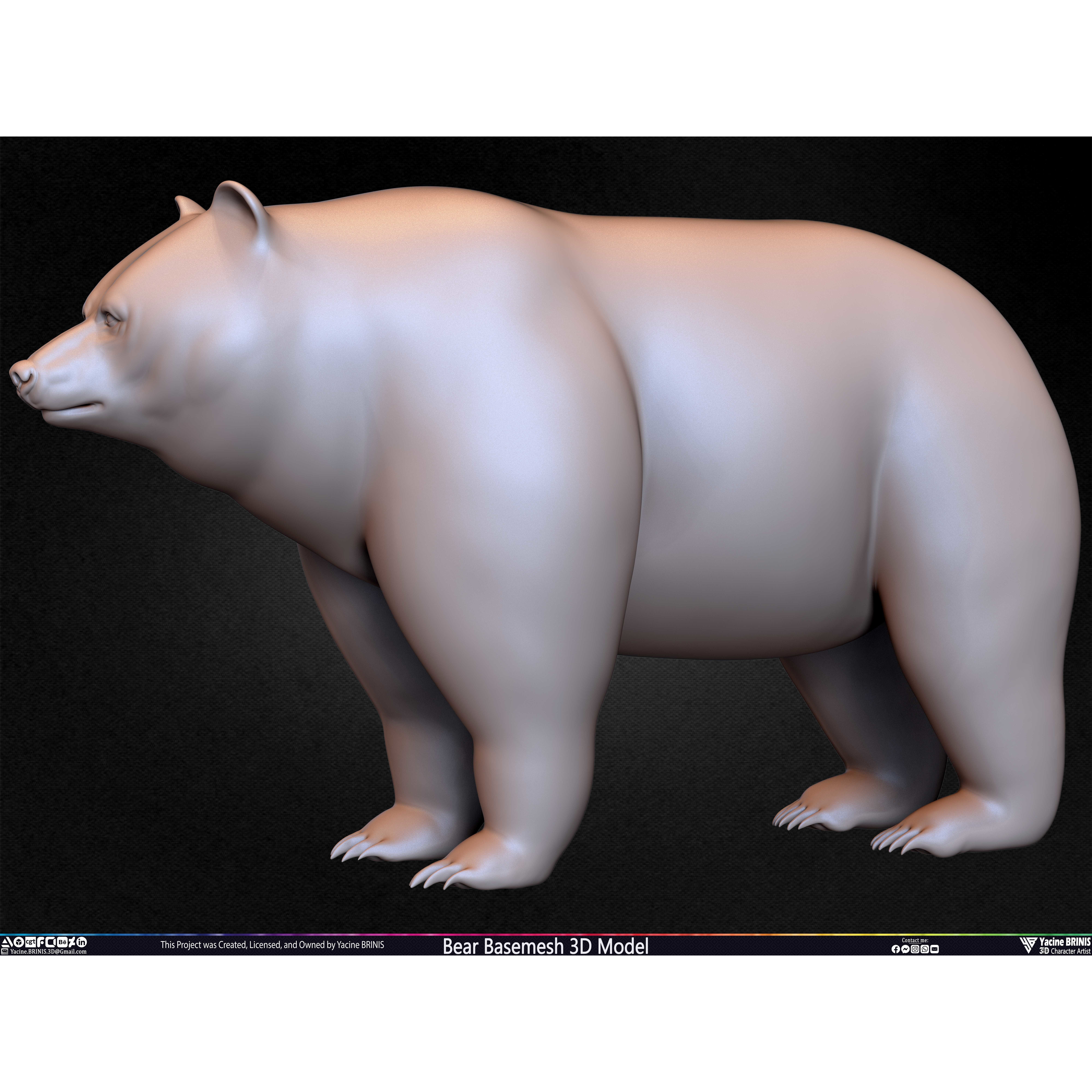 Bear Basemesh - Low-Poly Game-Ready 3D Model - View 43