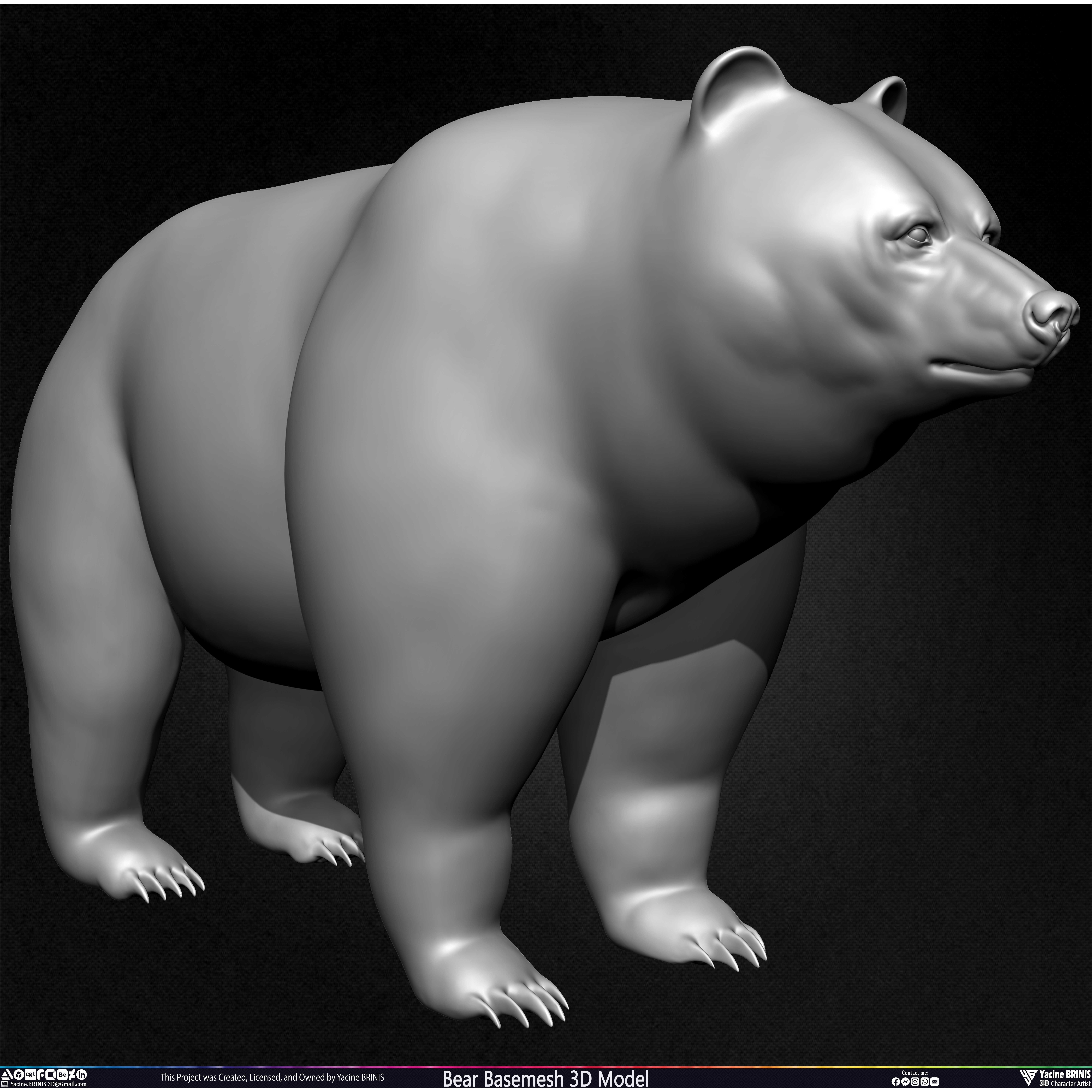 Bear Basemesh - Low-Poly Game-Ready 3D Model - View 7