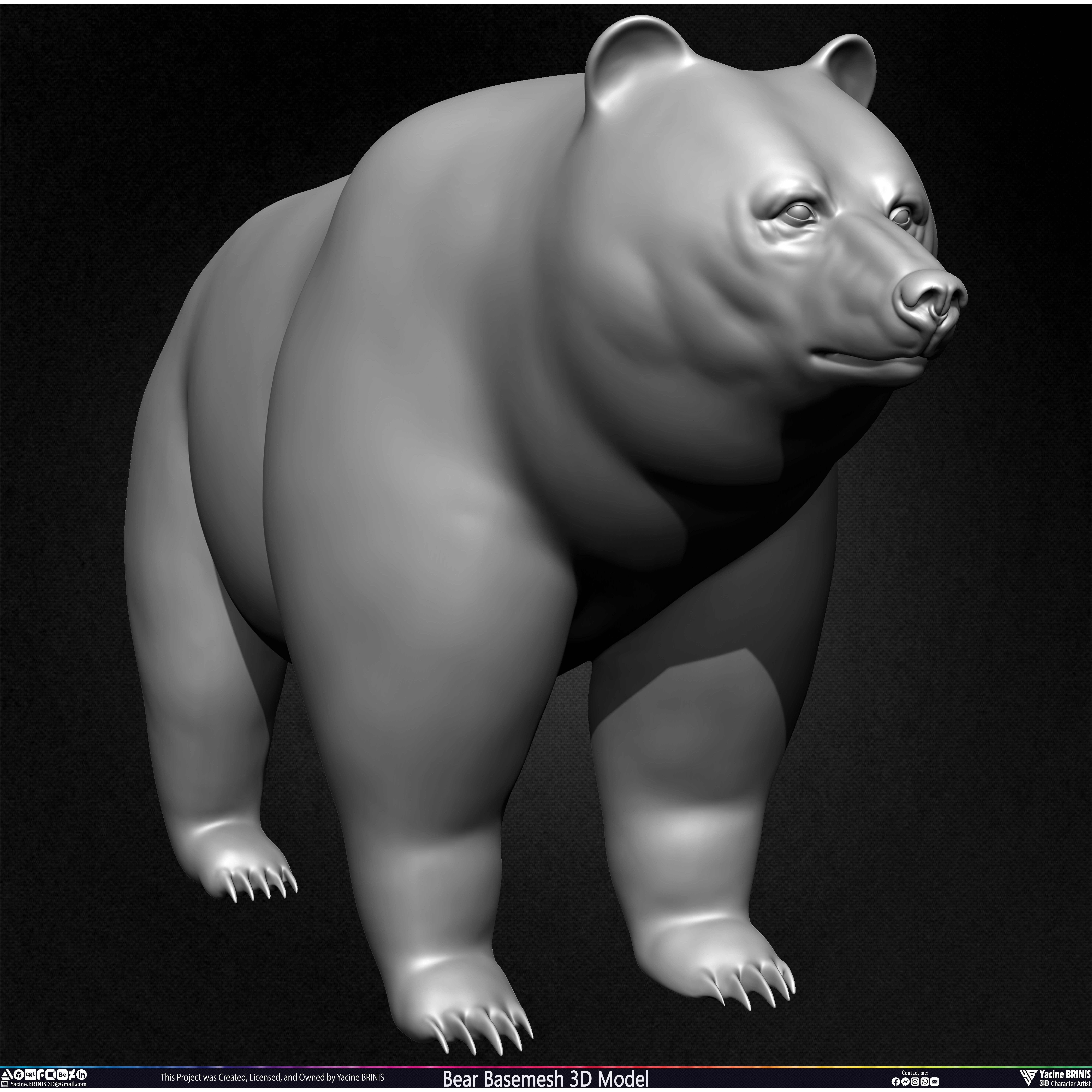 Bear Basemesh - Low-Poly Game-Ready 3D Model - View 9