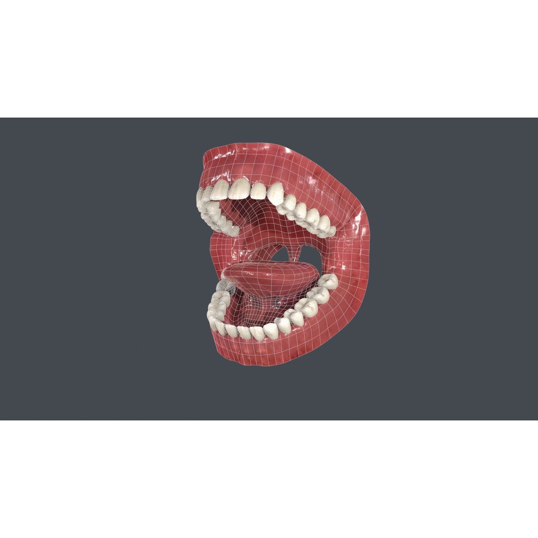 Human Mouth 3D Model – Low Poly Character Anatomy, FBX & More - View 10