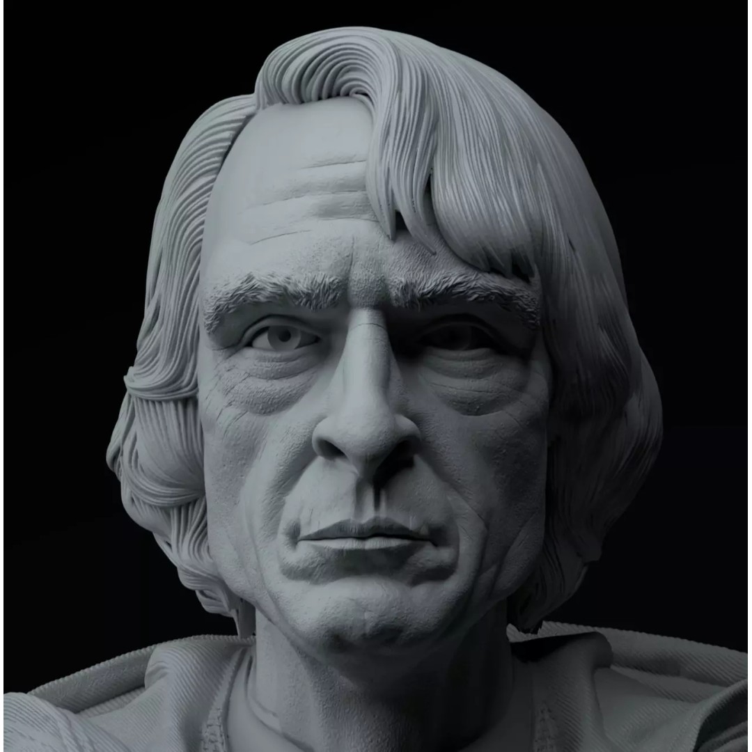 Joker Joaquin Phoenix 3D Model – Premium Bust for Printing - View 10