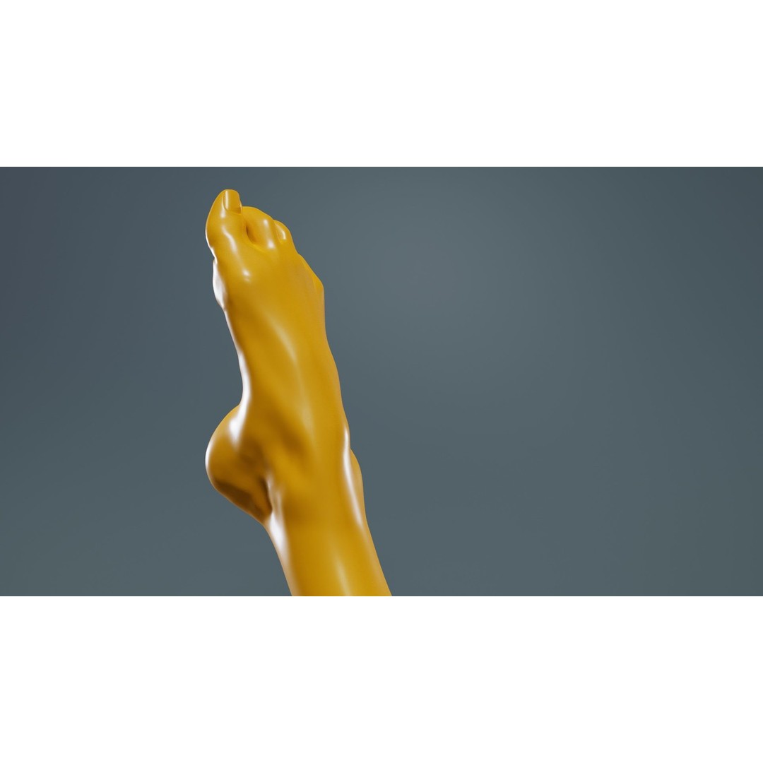 Crunched Toes 3D Model – Realistic Low-Poly Foot Asset, FBX, Blender - View 15