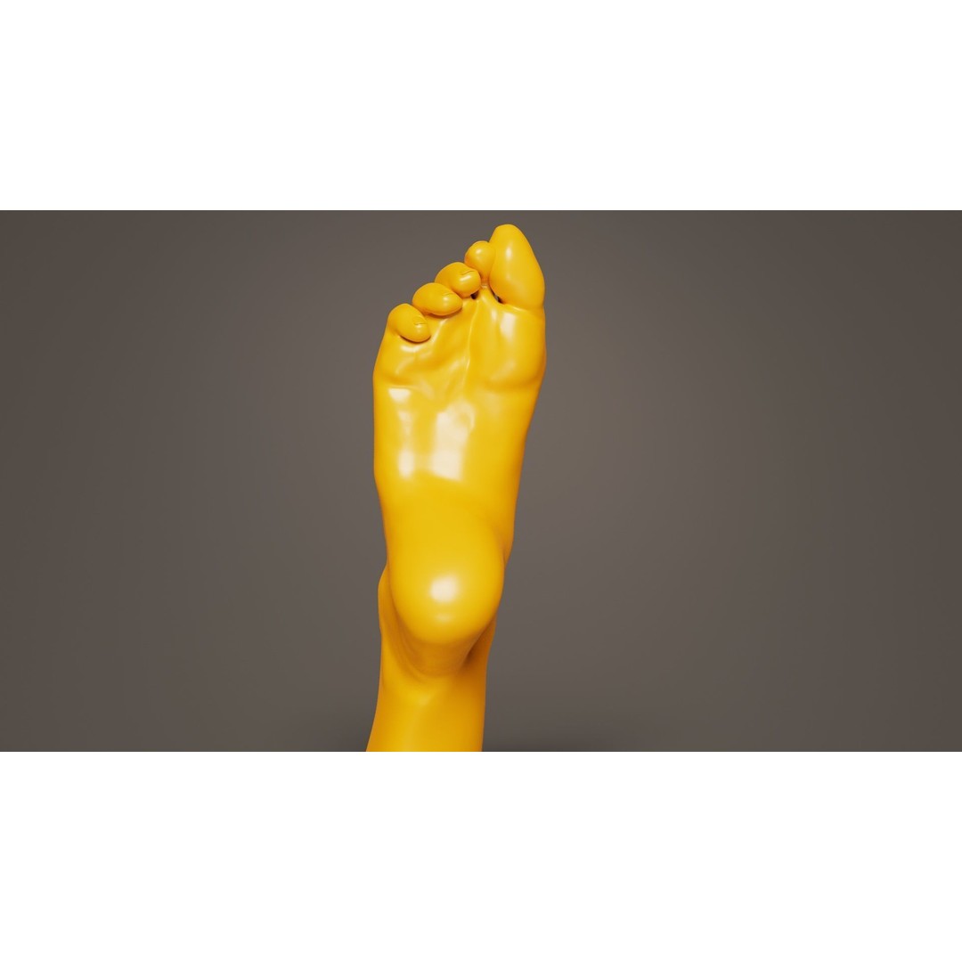 Crunched Toes 3D Model – Realistic Low-Poly Foot Asset, FBX, Blender - View 6