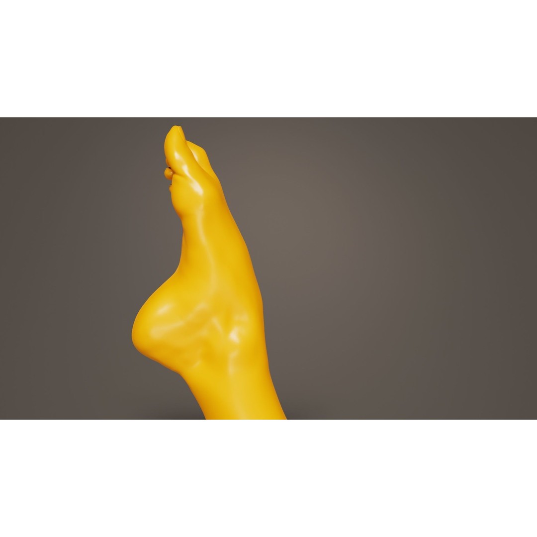 Crunched Toes 3D Model – Realistic Low-Poly Foot Asset, FBX, Blender - View 7