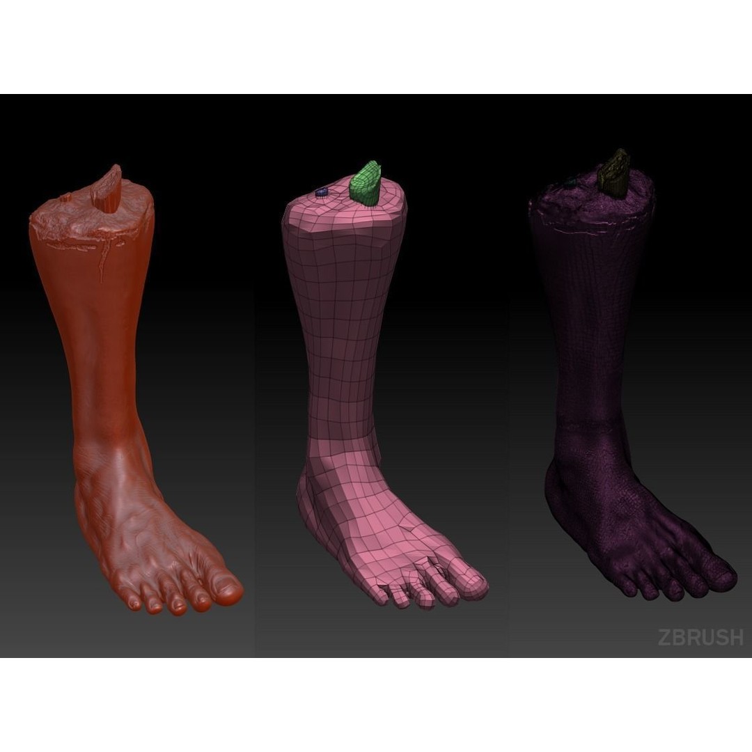 Severed Leg 3D Model – Low Poly PBR Horror Asset, FBX - View 42