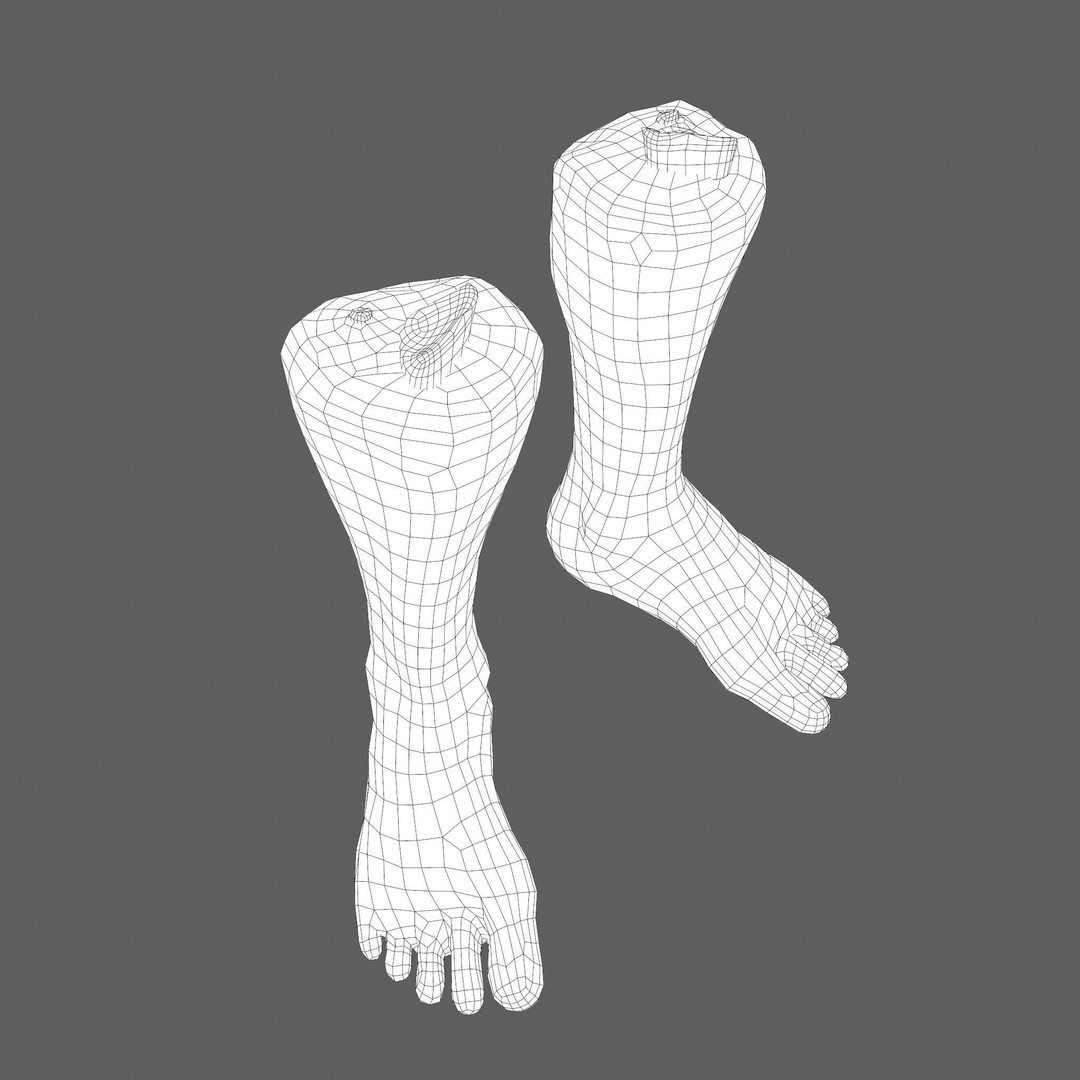 Severed Leg 3D Model – Low Poly PBR Horror Asset, FBX - View 46