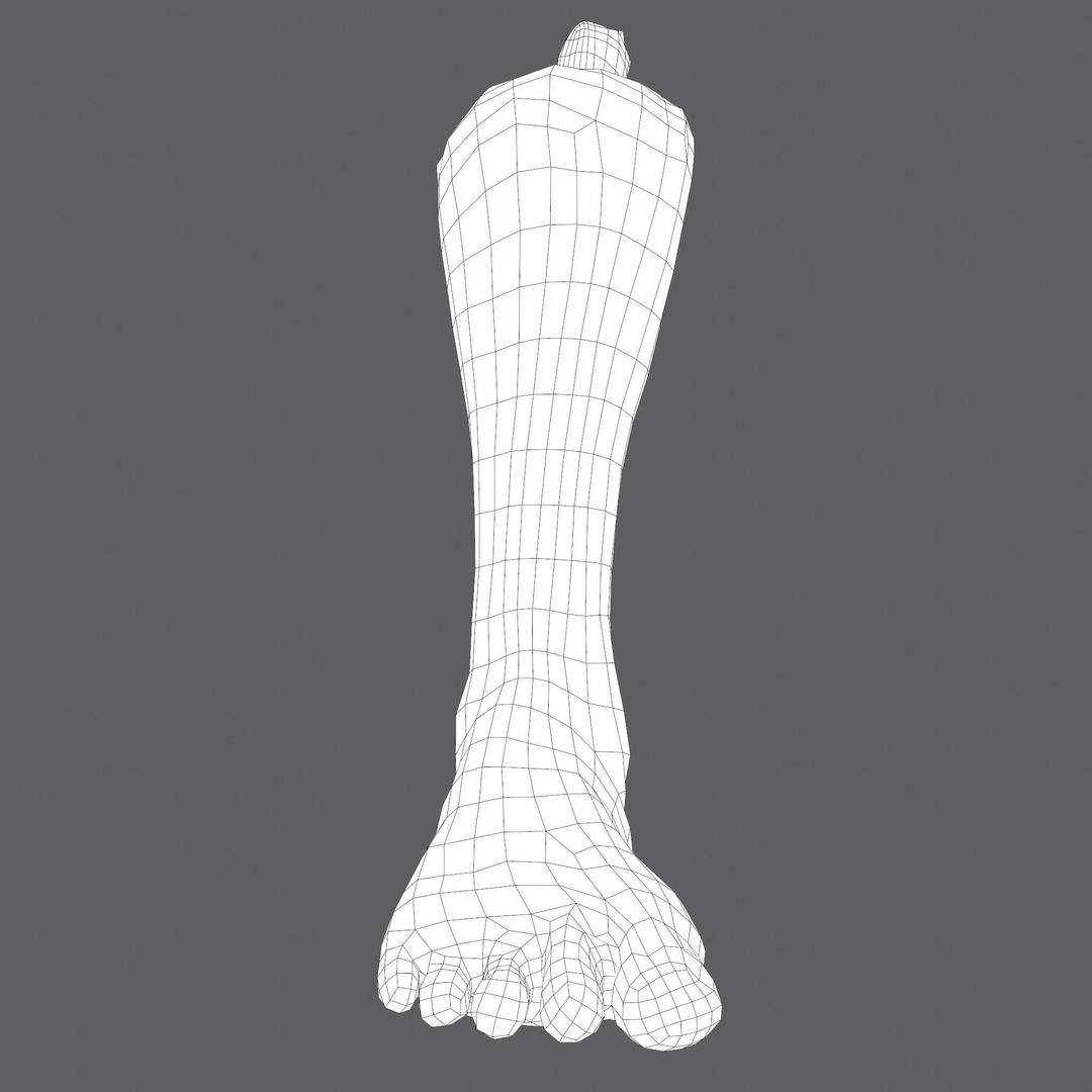 Severed Leg 3D Model – Low Poly PBR Horror Asset, FBX - View 56