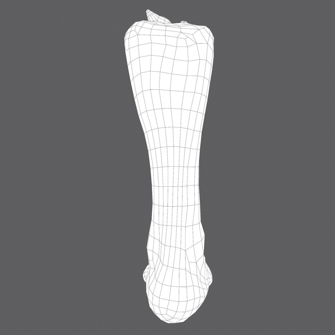 Severed Leg 3D Model – Low Poly PBR Horror Asset, FBX - View 58