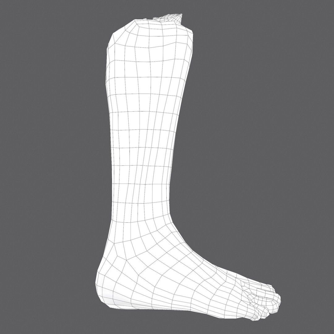 Severed Leg 3D Model – Low Poly PBR Horror Asset, FBX - View 59