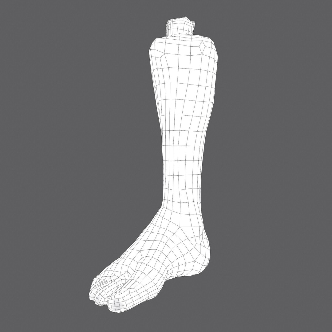 Severed Leg 3D Model – Low Poly PBR Horror Asset, FBX - View 60