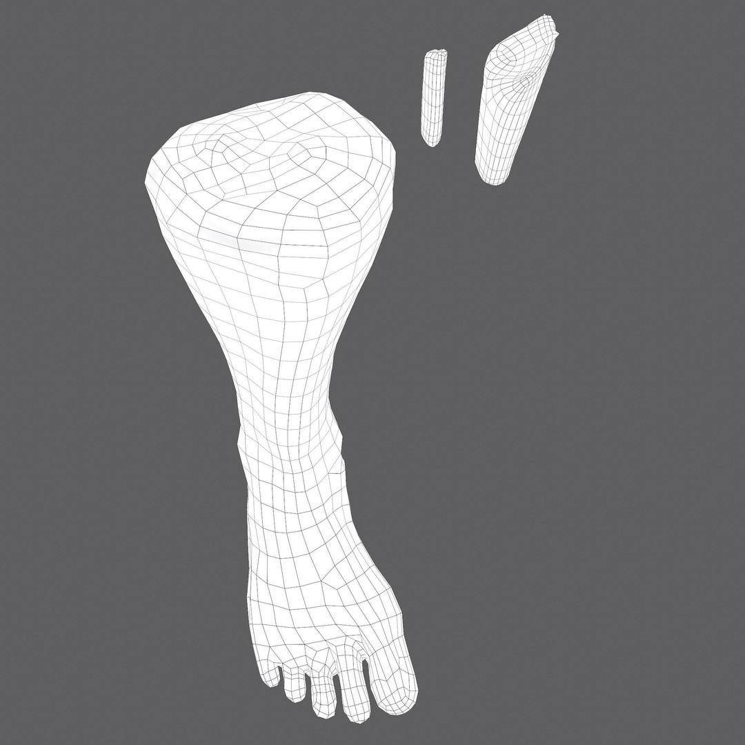 Severed Leg 3D Model – Low Poly PBR Horror Asset, FBX - View 62