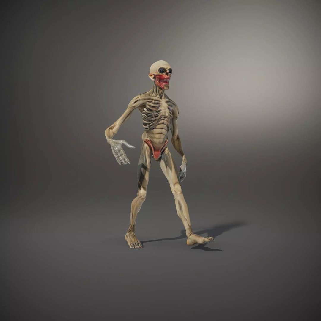 Skeleton 3D Model – Low Poly Game Ready Character with Rigging