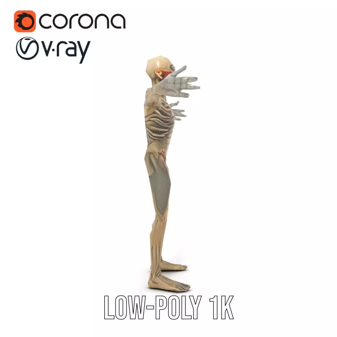 Skeleton 3D Model – Low Poly Game Ready Character with Rigging - View 11