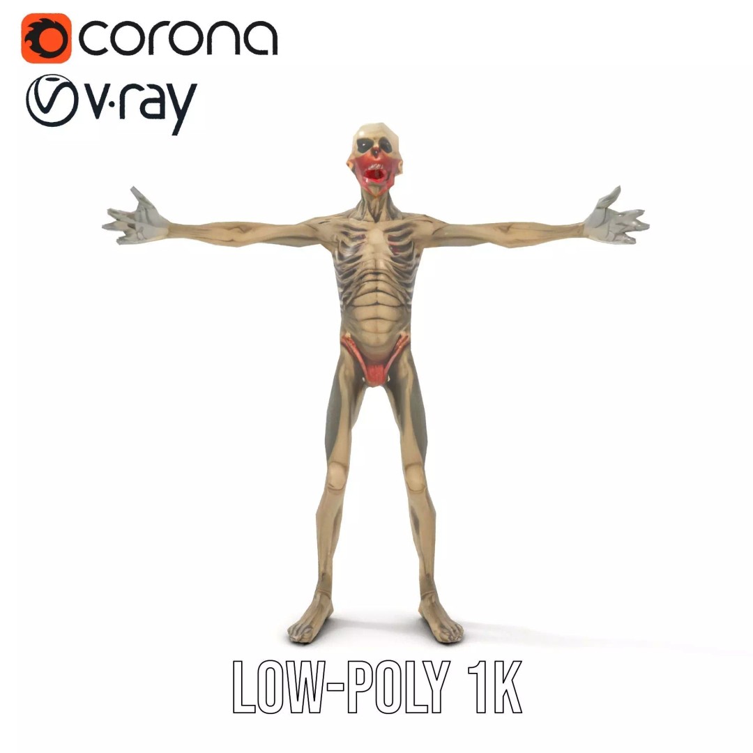 Skeleton 3D Model – Low Poly Game Ready Character with Rigging - View 17
