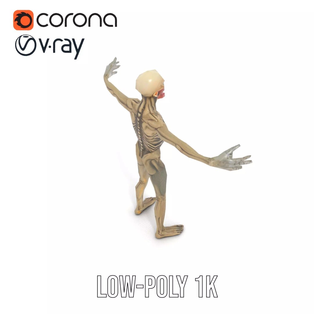 Skeleton 3D Model – Low Poly Game Ready Character with Rigging - View 20