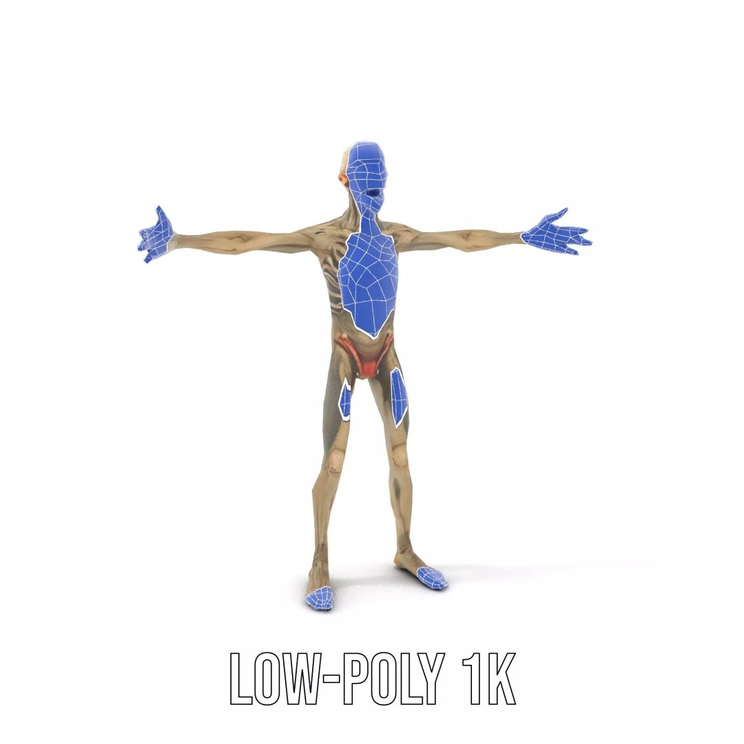 Skeleton 3D Model – Low Poly Game Ready Character with Rigging - View 22