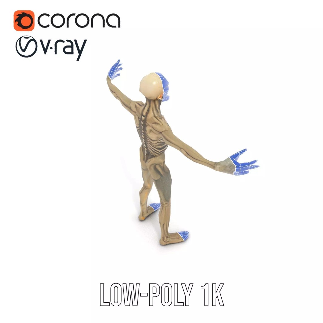 Skeleton 3D Model – Low Poly Game Ready Character with Rigging - View 25