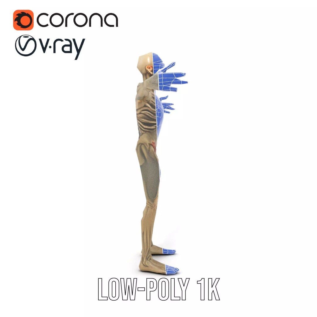 Skeleton 3D Model – Low Poly Game Ready Character with Rigging - View 28