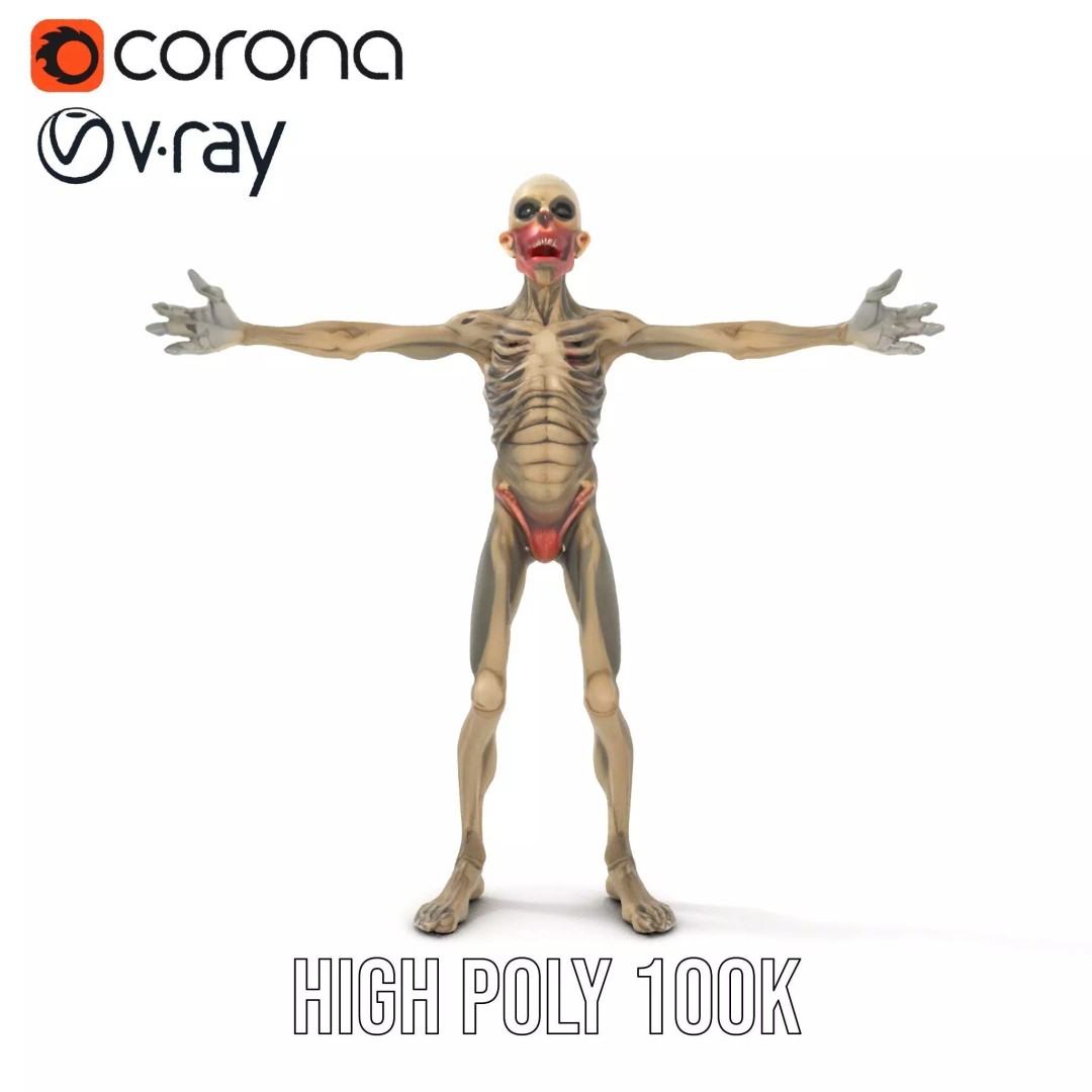 Skeleton 3D Model – Low Poly Game Ready Character with Rigging - View 29