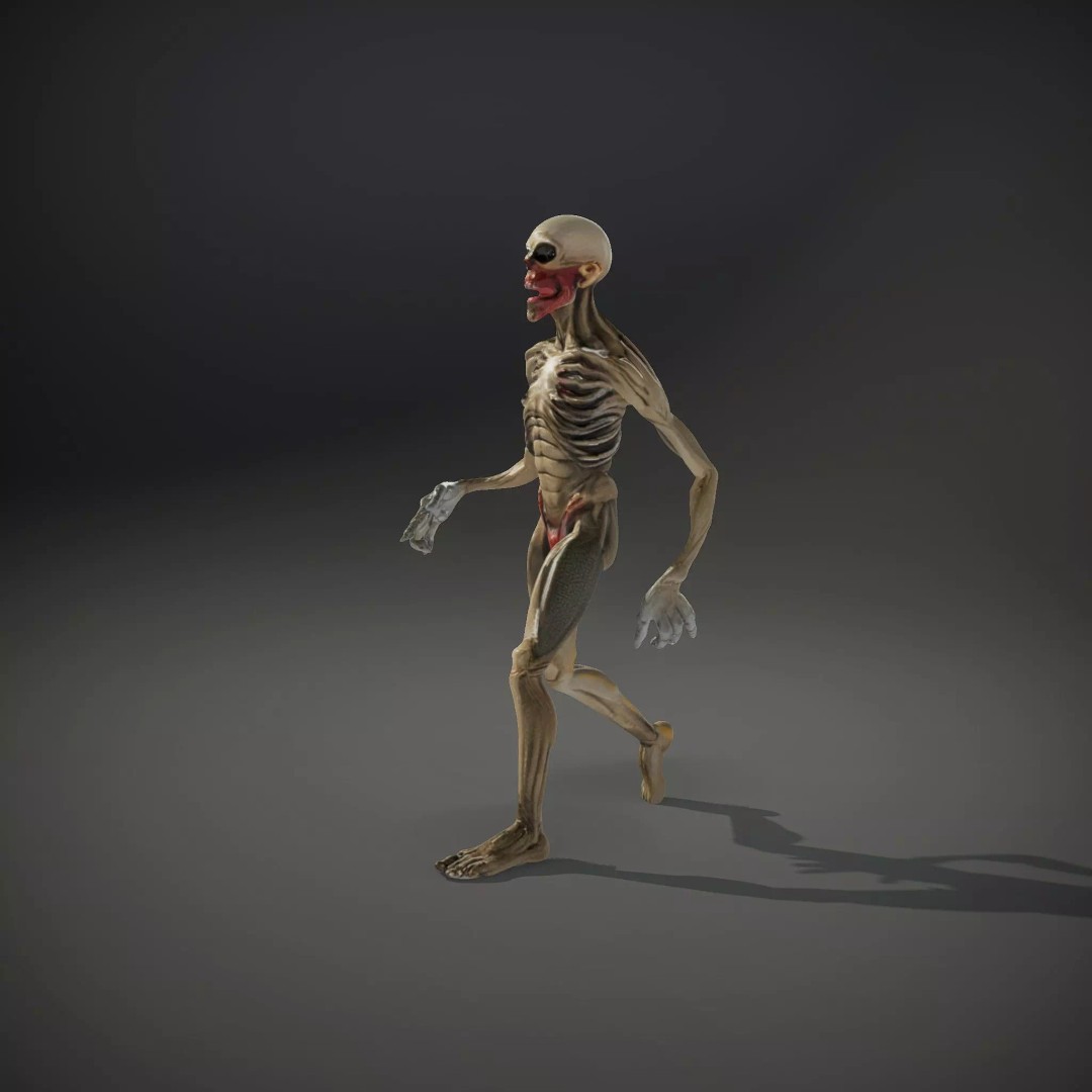 Skeleton 3D Model – Low Poly Game Ready Character with Rigging - View 34