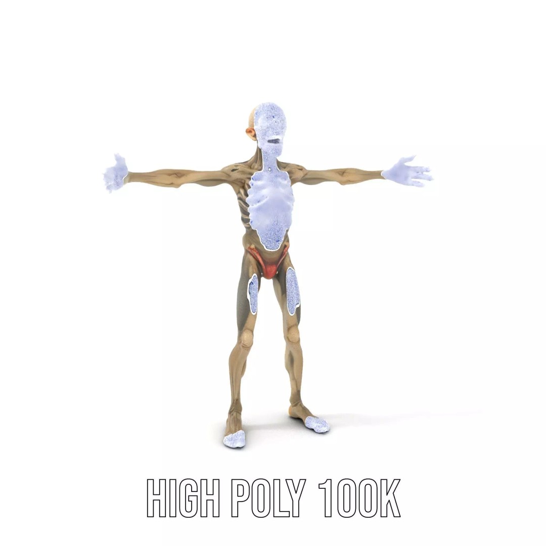 Skeleton 3D Model – Low Poly Game Ready Character with Rigging - View 5