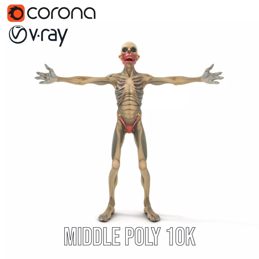 Skeleton 3D Model – Low Poly Game Ready Character with Rigging - View 6