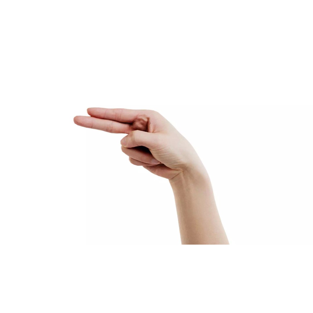 Finger Alphabet H 3D Model – Low Poly Hand Gesture, FBX, Blender - View 2