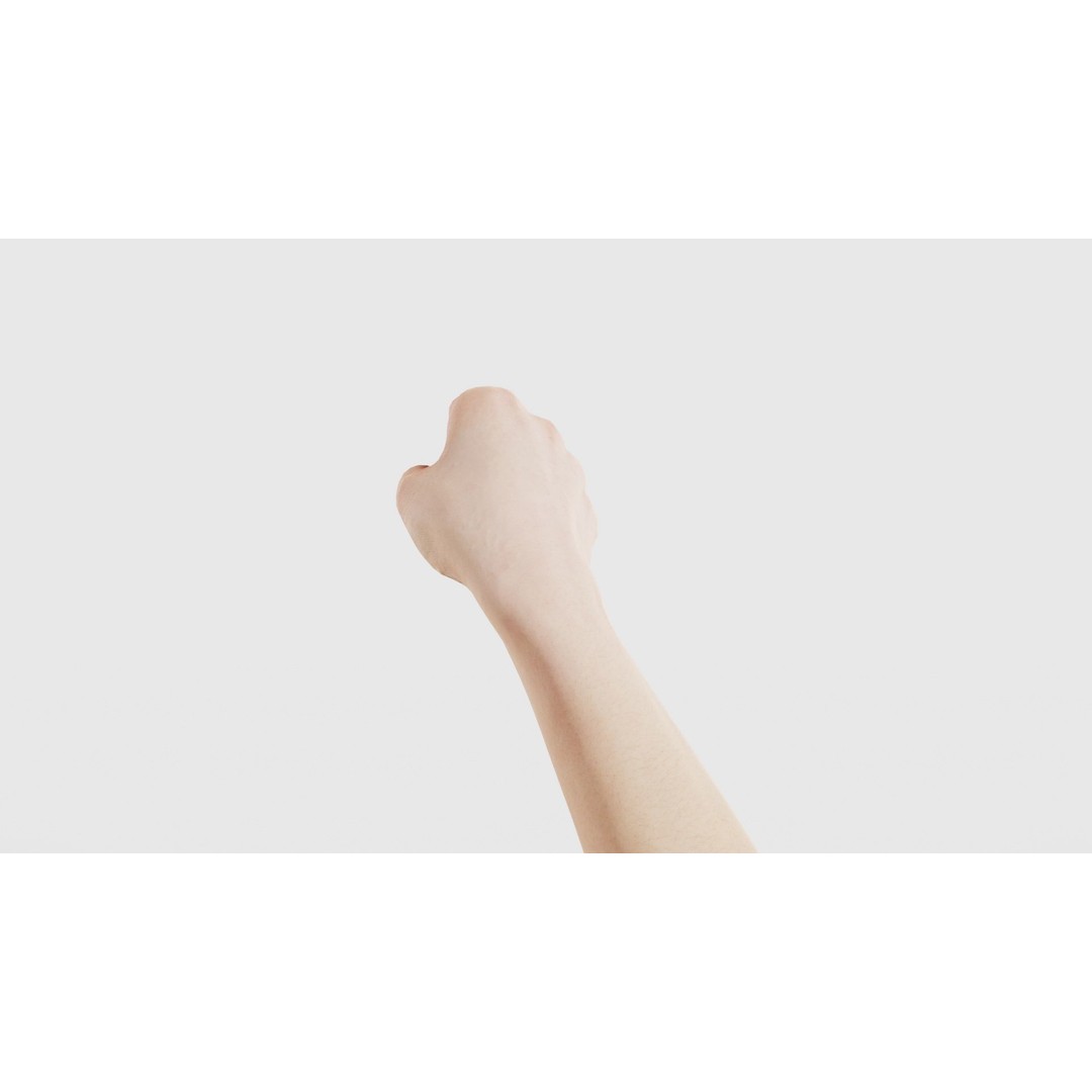 Finger Alphabet H 3D Model – Low Poly Hand Gesture, FBX, Blender - View 26