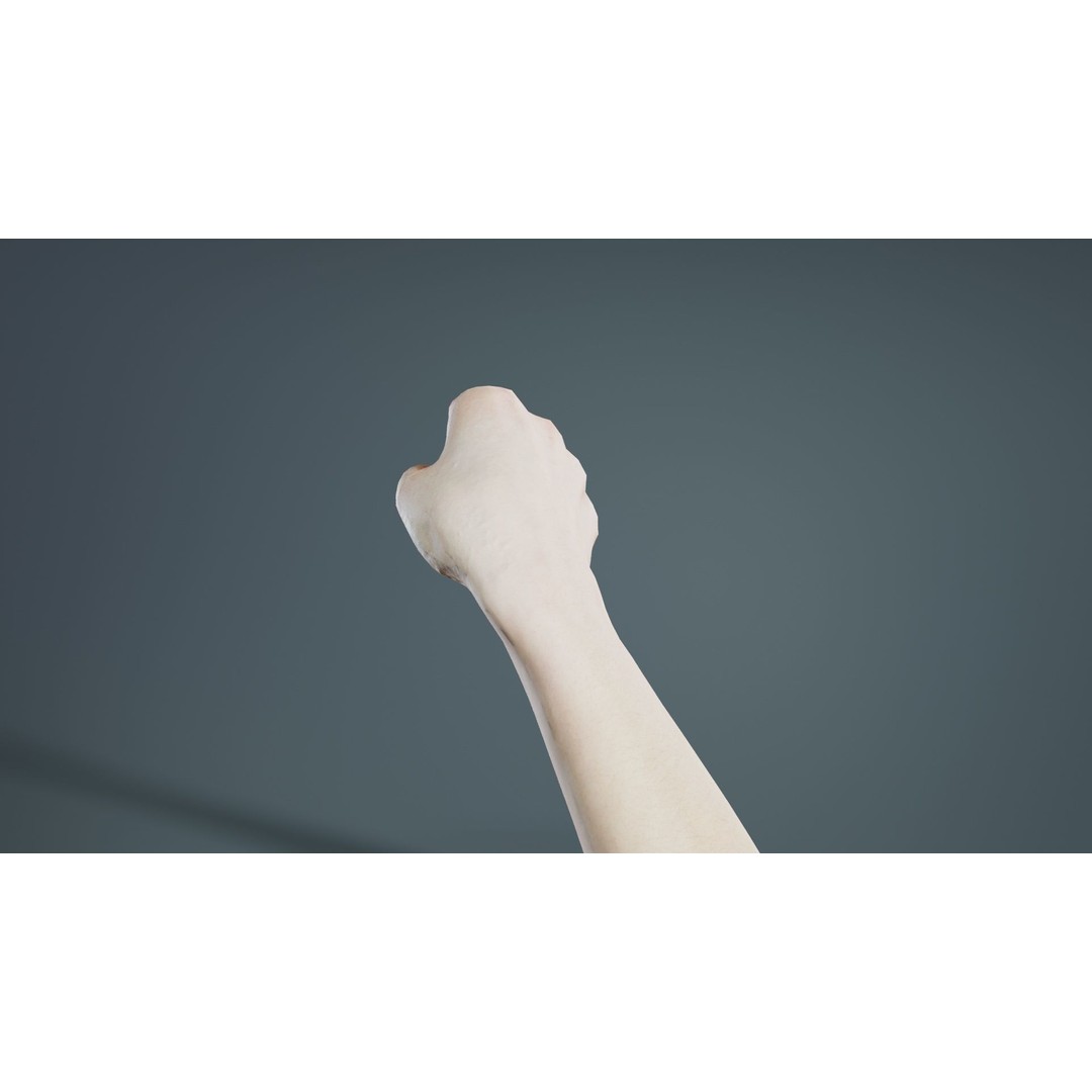 Finger Alphabet H 3D Model – Low Poly Hand Gesture, FBX, Blender - View 6