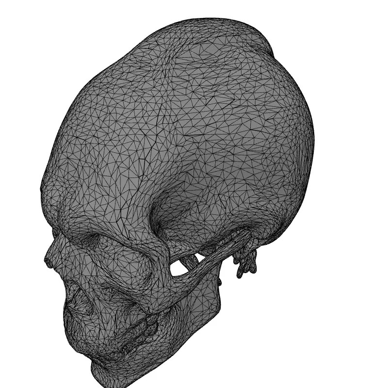 Stylized Elongated Skull 3D Model – Low Poly PBR Asset for Games