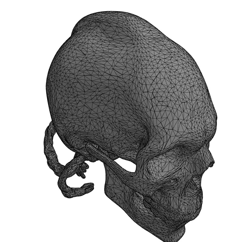 Stylized Elongated Skull 3D Model – Low Poly PBR Asset for Games - View 3