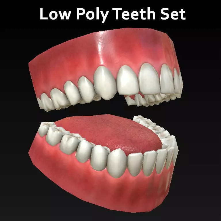 Low Poly Teeth Set 3D Model – Game Ready PBR Textured Asset - View 2