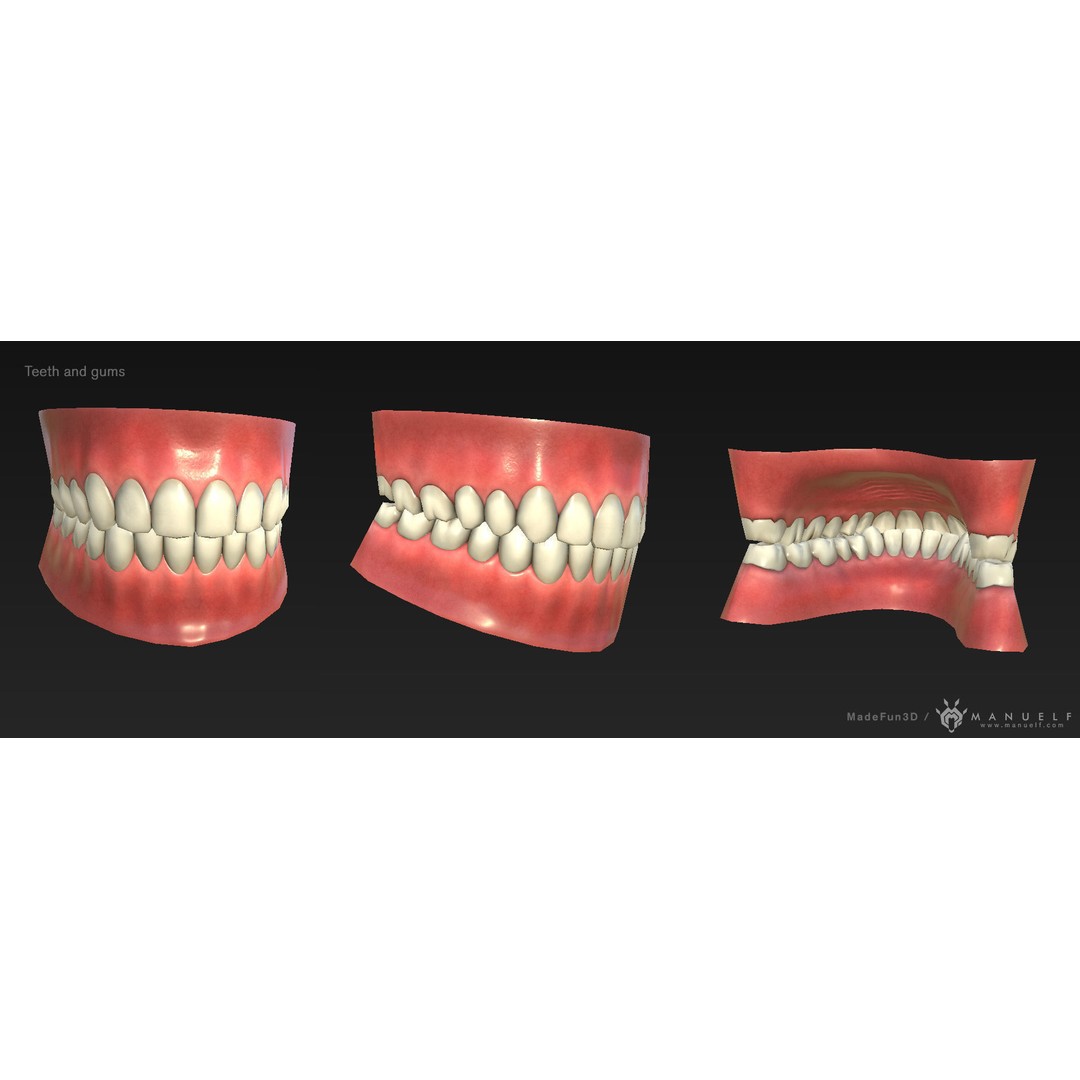 Low Poly Teeth Set 3D Model – Game Ready PBR Textured Asset - View 3