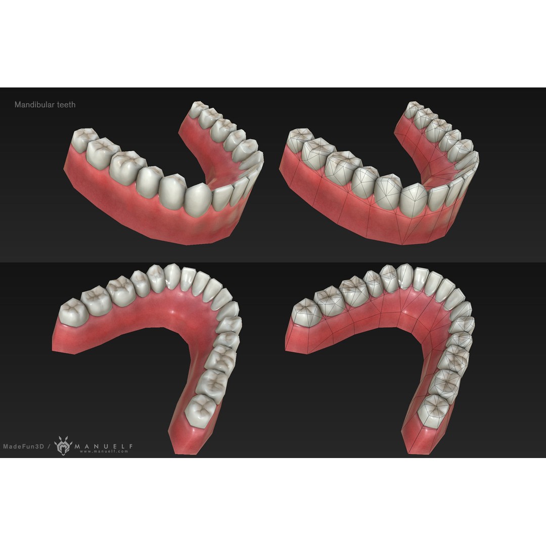 Low Poly Teeth Set 3D Model – Game Ready PBR Textured Asset - View 4