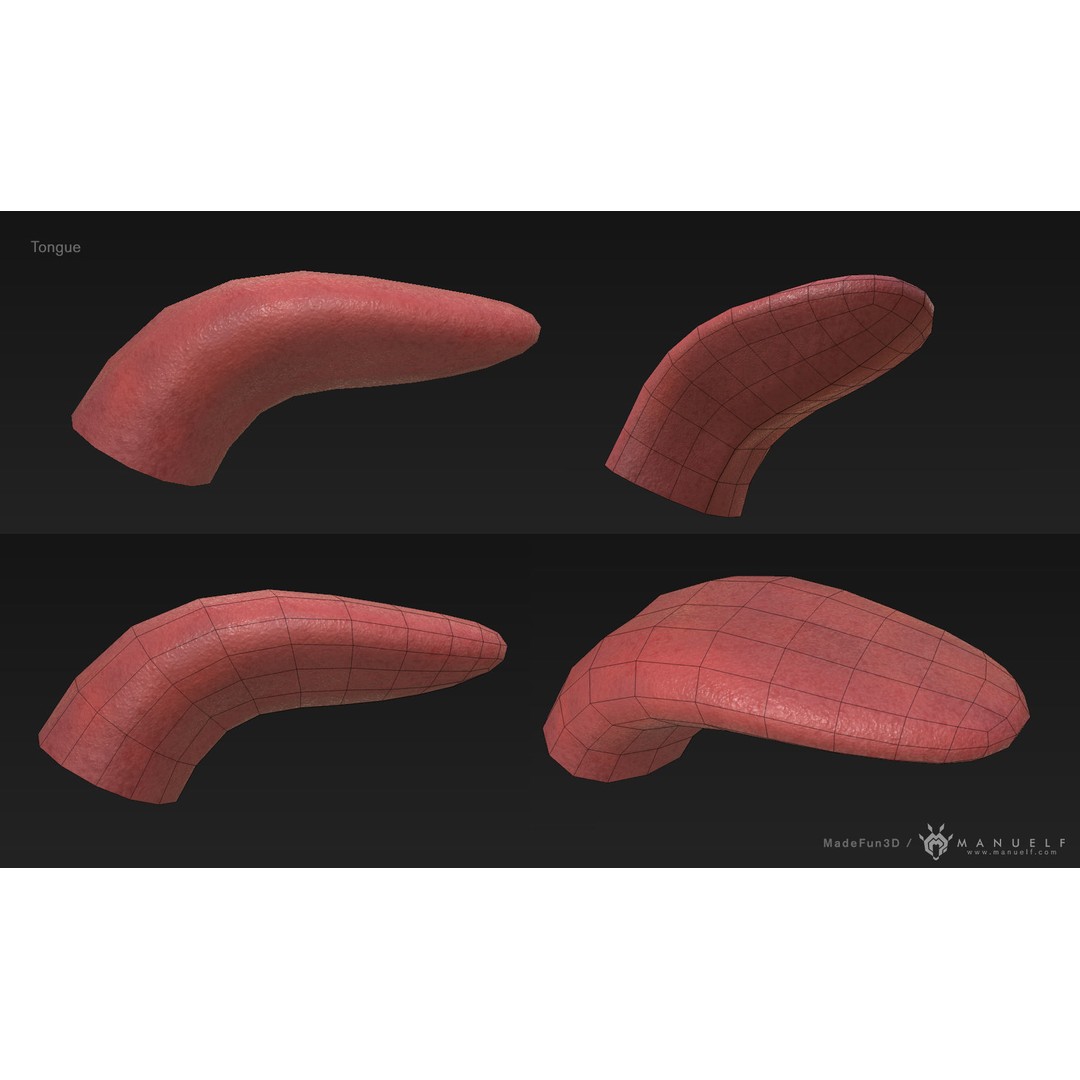 Low Poly Teeth Set 3D Model – Game Ready PBR Textured Asset - View 6