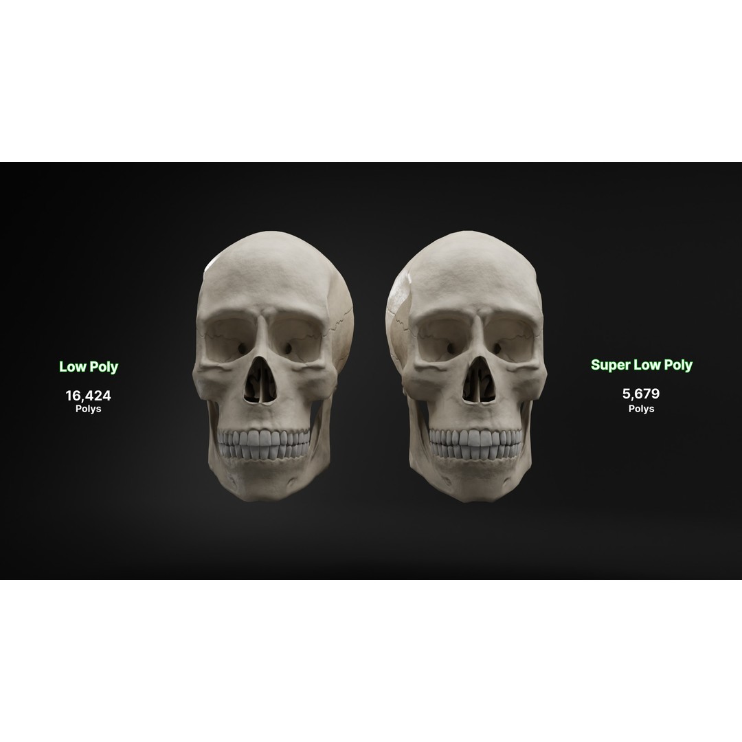 Human Skull 3D Model – Low Poly Realistic Design, FBX, PBR Textures - View 8