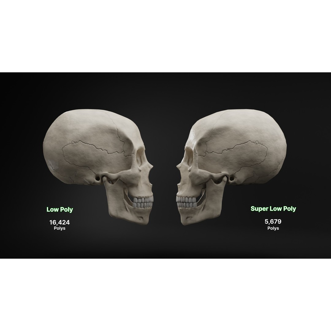 Human Skull 3D Model – Low Poly Realistic Design, FBX, PBR Textures - View 9