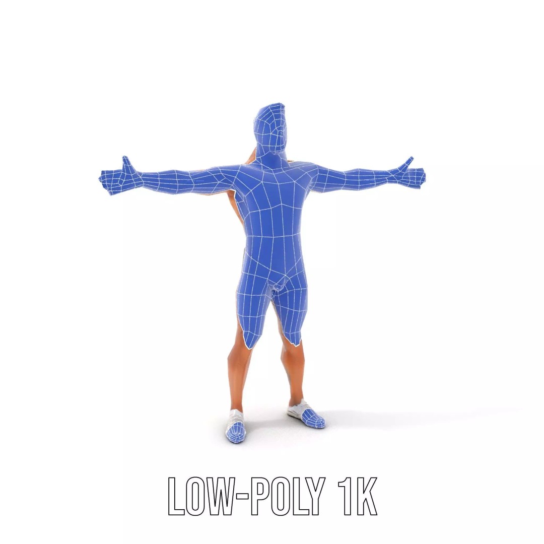 Muscular Human Anatomy 3D Model – Low Poly Educational Asset, FBX - View 12