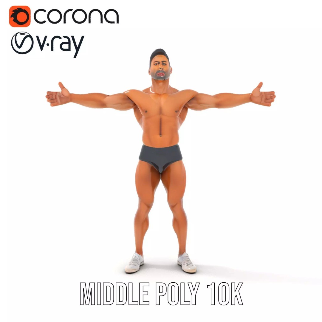 Muscular Human Anatomy 3D Model – Low Poly Educational Asset, FBX - View 14