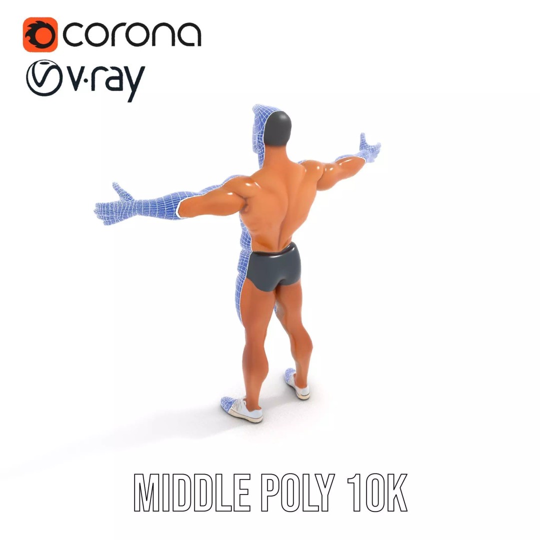 Muscular Human Anatomy 3D Model – Low Poly Educational Asset, FBX - View 16
